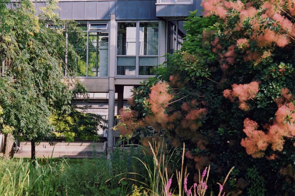Egrove Park, University Of Oxford Eksteriør billede